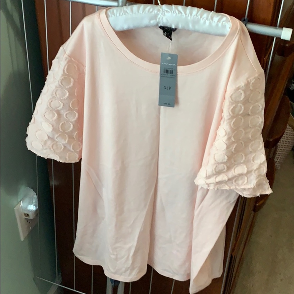 Ann Taylor short sleeve top.